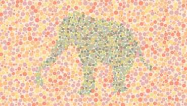 Color Blind Test Color Blind Test